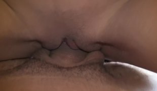 brunette babe oral søt blowjob